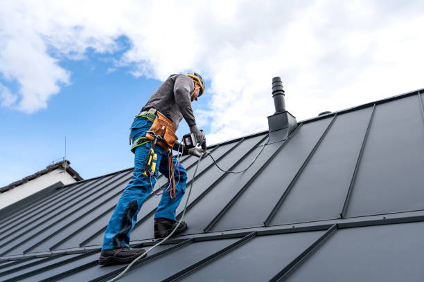 Best Roof Maintenance and Cleaning  in Bay Hill, FL